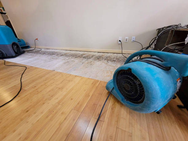 Professional Water Damage Repair technician working in Paradise, NV